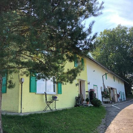 Villa Weiher 1 à Rot an der Rot Extérieur photo